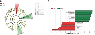 Altered Fecal Microbiota Correlated With Systemic Inflammation in Male Subjects With Methamphetamine Use Disorder